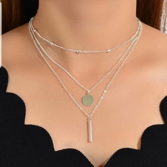 Jewelry - ♡Raven♡ Layered Silver Necklace
